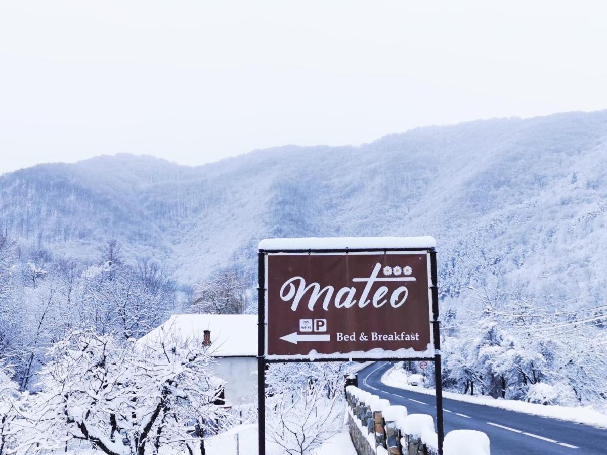 Mateo Transalpina Hotell Săsciori Eksteriør bilde