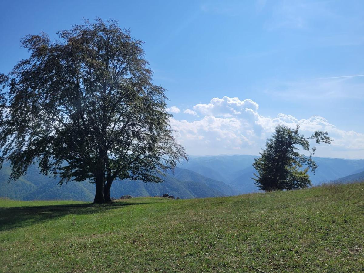 Mateo Transalpina Hotell Săsciori Eksteriør bilde