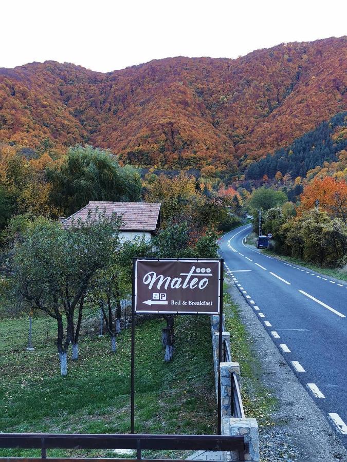 Mateo Transalpina Hotell Săsciori Eksteriør bilde