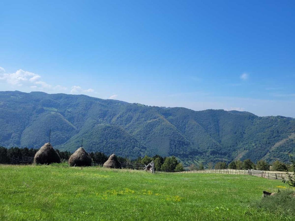 Mateo Transalpina Hotell Săsciori Eksteriør bilde